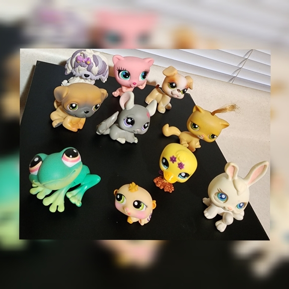 Littlest Pet Shop Authentic Bundle  (10) - Picture 11 of 11